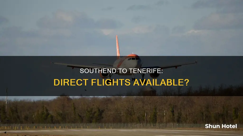 can you fly to tenerife from southend airport