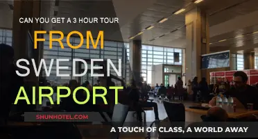 Exploring Sweden: Quick Layover Tour Options