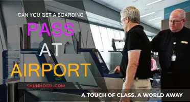 Boarding Pass Options: Airport or Online?