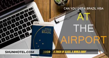 Brazil Visa: Airport Availability?