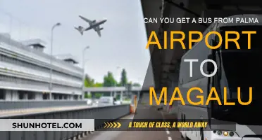 Palma Airport to Magaluf: Best Bus Routes