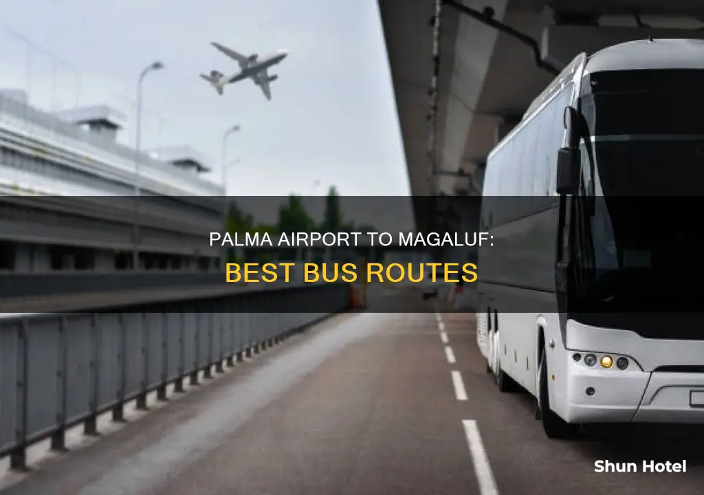 can you get a bus from palma airport to magaluf