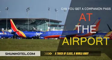 How to Get a Companion Pass at the Airport?