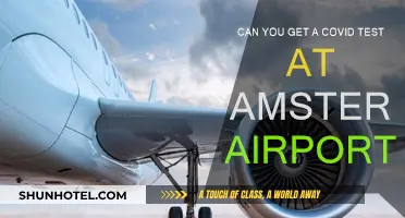 Amsterdam Airport: COVID Testing Availability and Accessibility