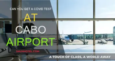 Cabo Airport: COVID Testing Available?