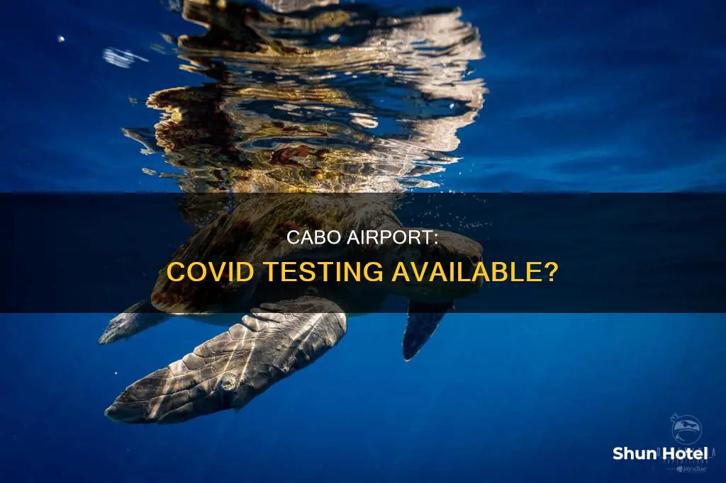can you get a covid test at cabo airport