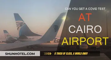 Cairo Airport: COVID Testing Availability and Requirements