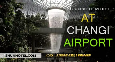 Covid Testing at Changi Airport: What You Need to Know