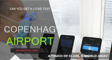 Copenhagen Airport: COVID Testing Available?