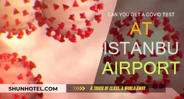 Istanbul Airport: COVID Testing Availability and Requirements