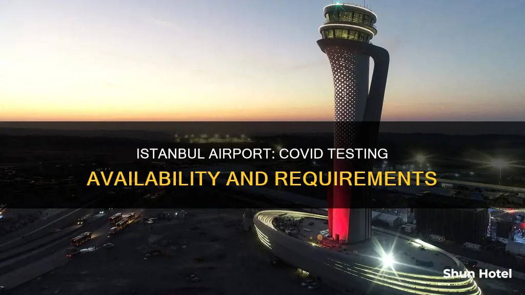 can you get a covid test at istanbul airport