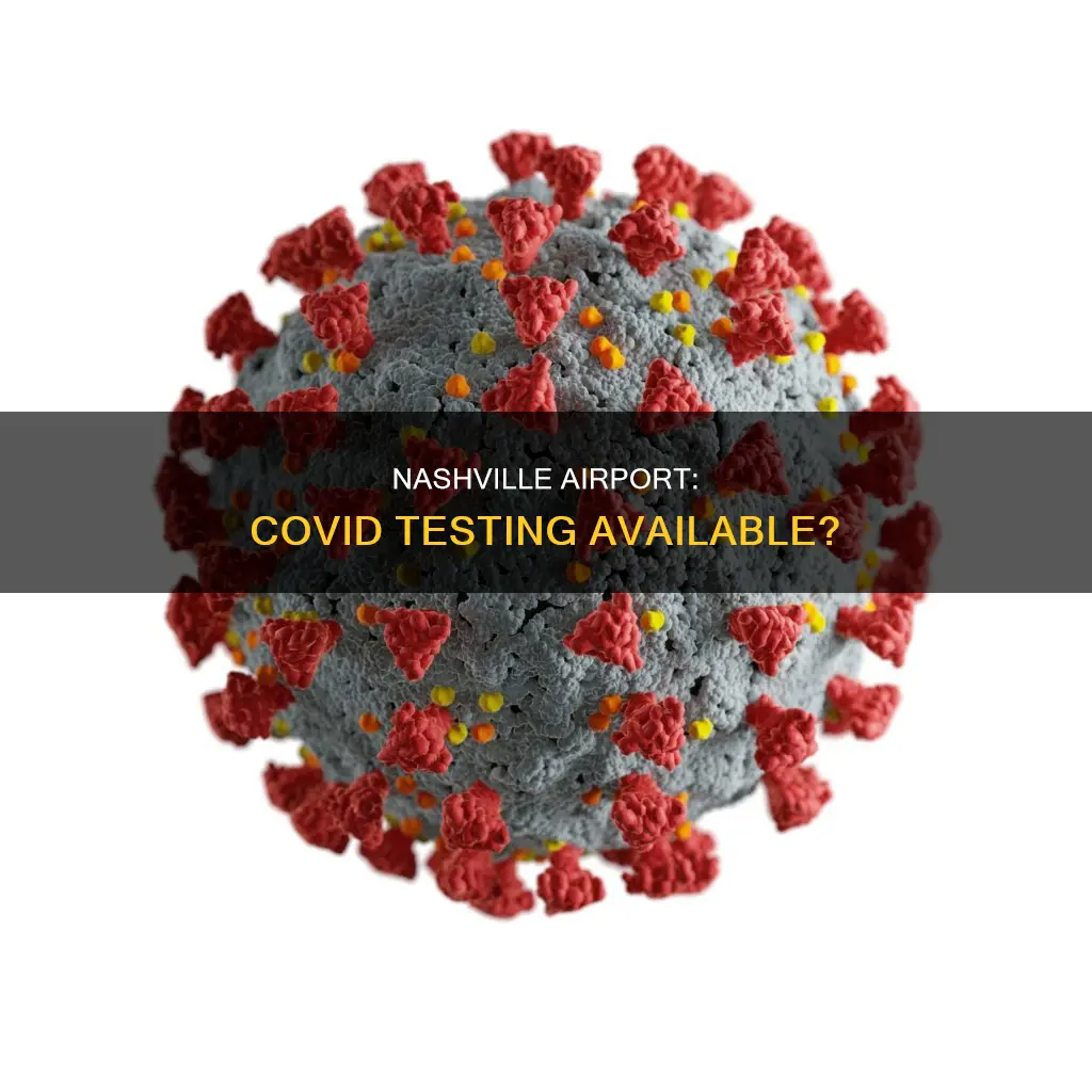 can you get a covid test at nashville airport