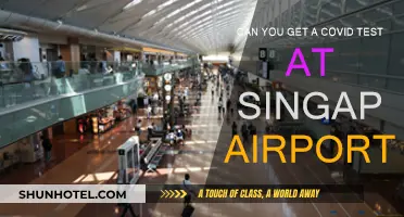 Covid Testing: Singapore Airport's Offerings and Requirements