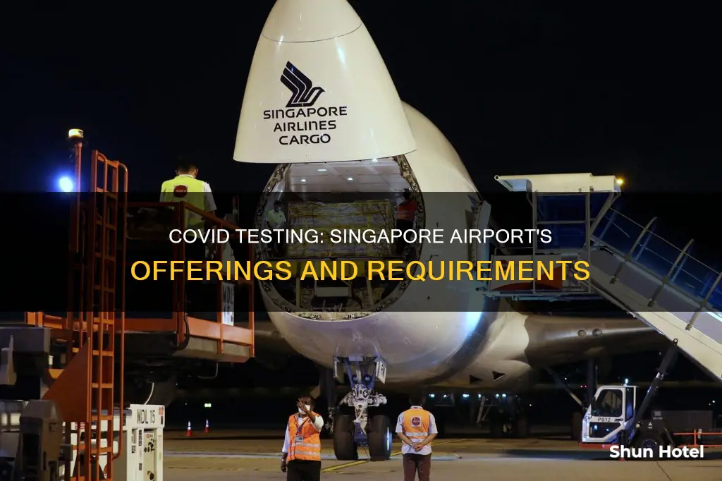 can you get a covid test at singapore airport