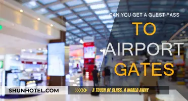 Exploring Airport Gates: Guest Access Options