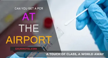 PCR Testing: Airport Availability and Access