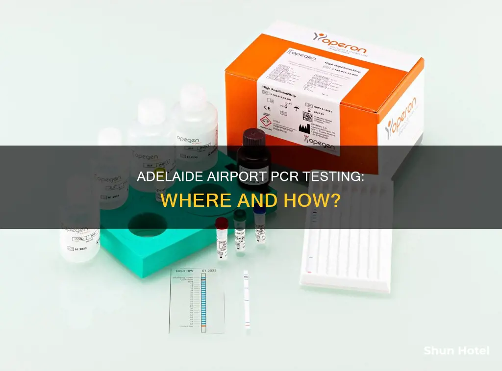 can you get a pcr test at adelaide airport