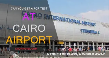 Cairo Airport: PCR Testing Available?