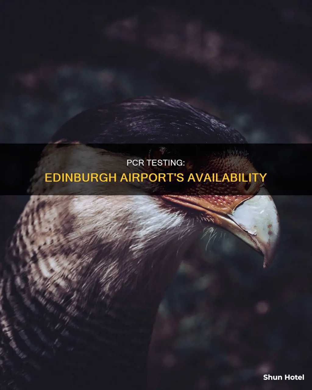 can you get a pcr test at edinburgh airport