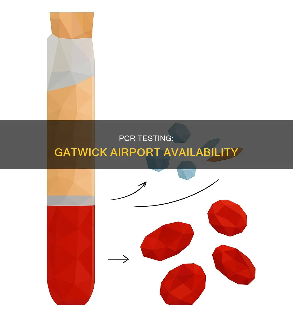 can you get a pcr test at gatwick airport