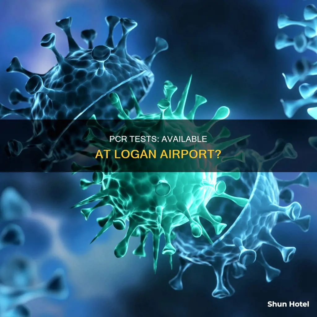can you get a pcr test at logan airport
