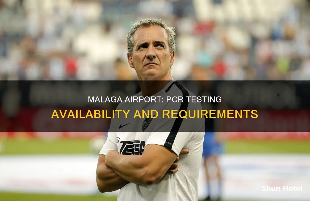 can you get a pcr test at malaga airport