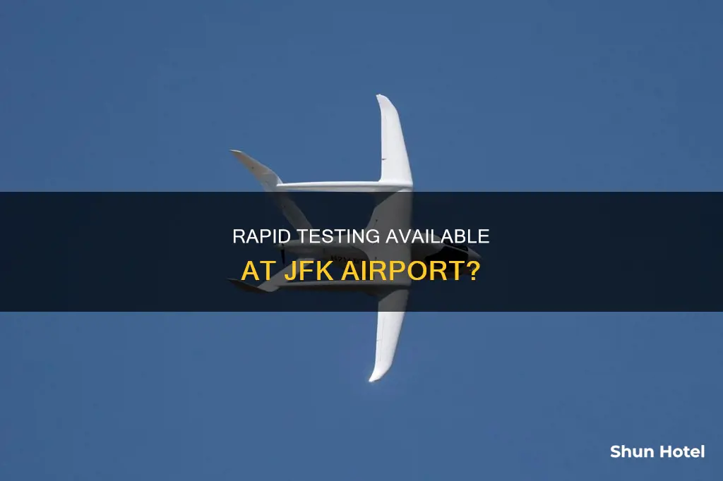 can you get a rapid test at jfk airport