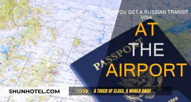 Russian Transit Visas: Obtainable at Airports?