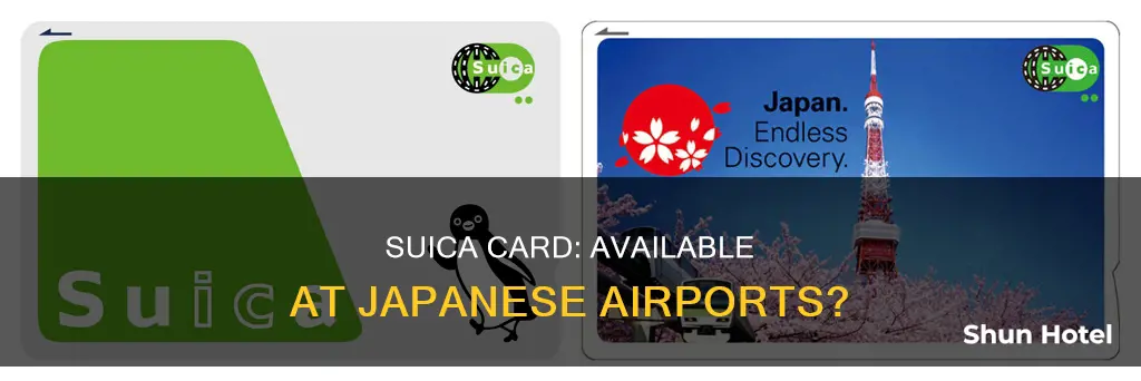 can you get a suica card at the airport