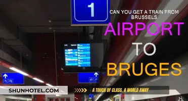 Travel Brussels Airport to Bruges by Train?