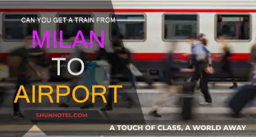 Traveling from Milan to the Airport by Train