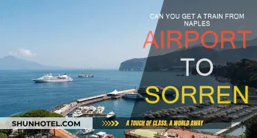 Travel from Naples Airport: Train to Sorrento?