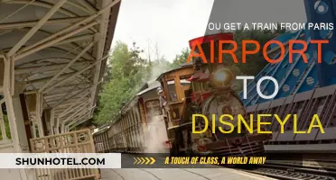 Travel from Paris Airport to Disneyland by Train