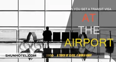 How to Get a Transit Visa at the Airport