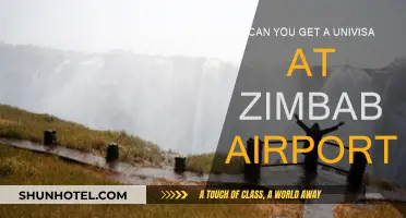 Zimbabwe Airport Univisa: Where and How to Get It?