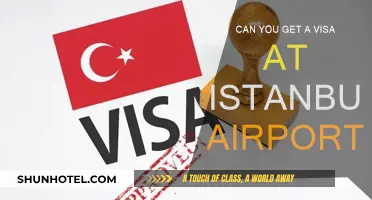 Istanbul Airport Visa: How and When to Get It?