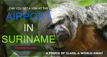 Suriname Visa on Arrival: What You Need to Know