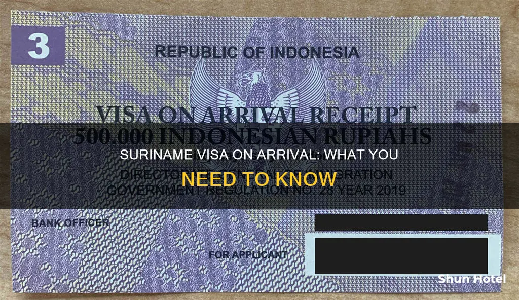 can you get a visa at the airport in suriname