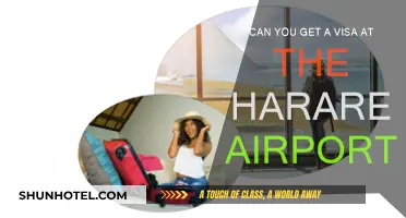 Harare Airport Visa Options: What You Need to Know