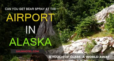 Bear Spray and Air Travel in Alaska: What's the Deal?