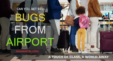 How Airports Can Cause Bed Bug Infestations