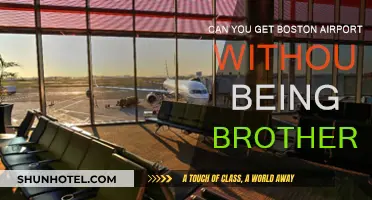 Exploring Boston Airport Without Brotherhood: A Unique Adventure