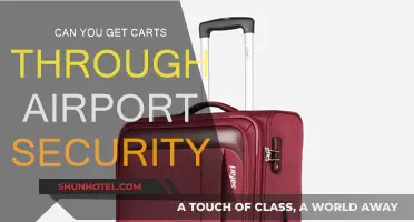 Airport Security and Your Vapes: What's Allowed?