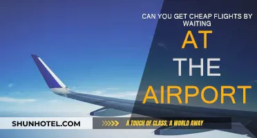 Waiting at the Airport: Cheaper Last-Minute Flights?