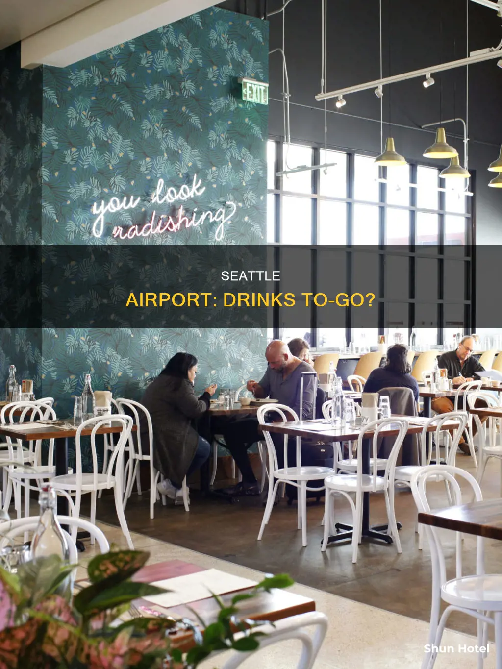 can you get drinks to go in seattle airport