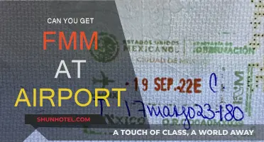 Last-Minute FMMs: Available at the Airport?
