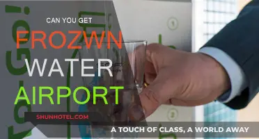 Travel Tip: Frozen Water Allowed at Airports?
