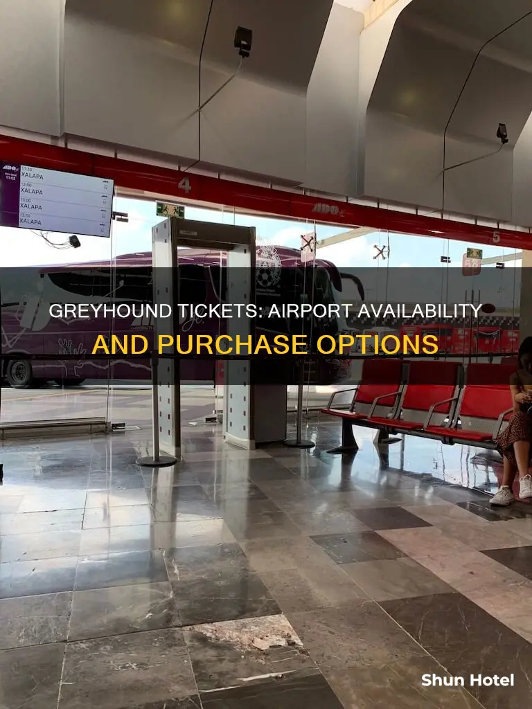 can you get greyhound tickets at the airport