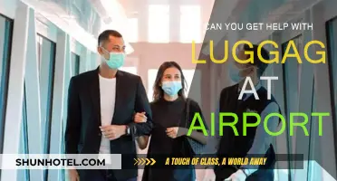 Airport Luggage Assistance: How to Get Help?