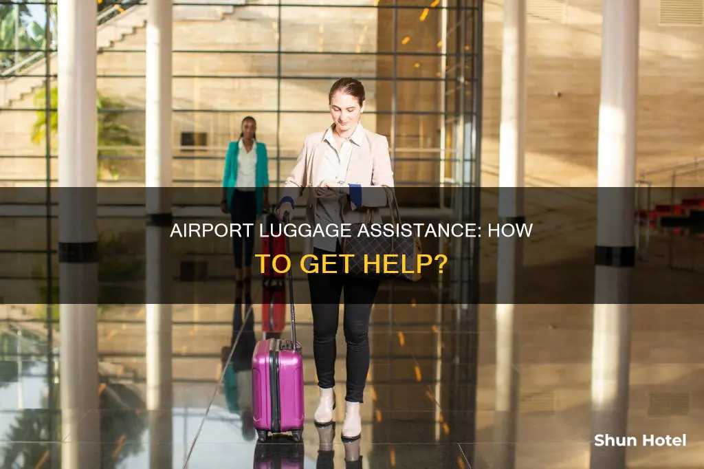can you get help with luggage at airport